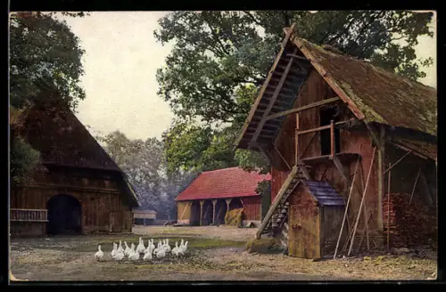 AK Photochromie NR 3088: Gänse auf einem Bauernhof