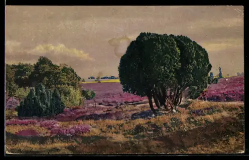 Künstler-AK Photochromie Nr. 4663: Sommerliche Landschaft mit Bäumen