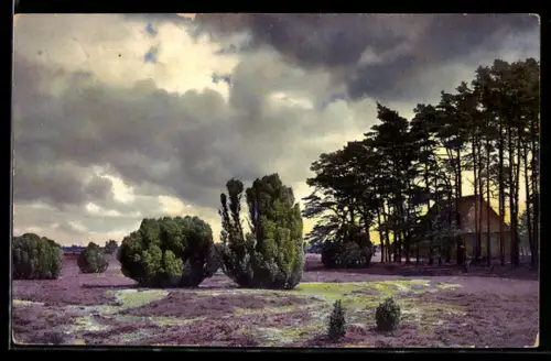 Künstler-AK Photochromie Nr. 2475: Landschaft mit Büschen und Bäumen