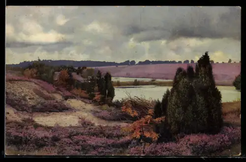 Künstler-AK Photochromie Nr. 2480: Uferlandschft mit Bäumen