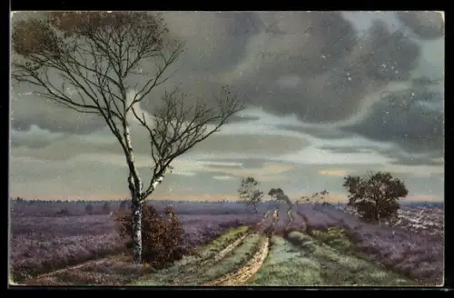 AK Photochromie NR. 5: Wolken über der Dresdener Heide, Heidelandschaft mit Birken und Lavendel