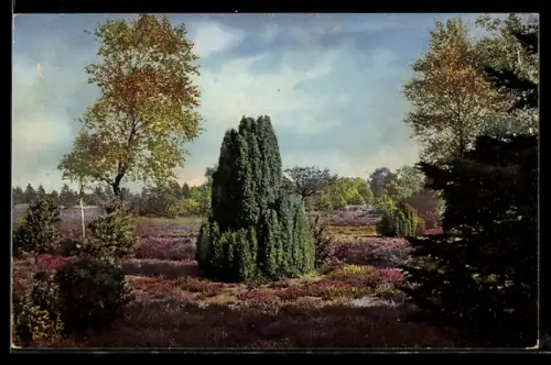 Künstler-AK Photochromie Nr. 6: Landschaft mit Herbstbäumen