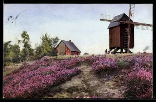 AK Photochromie NR 177 /3101: Windmühle hinter blühendem Heidekraut