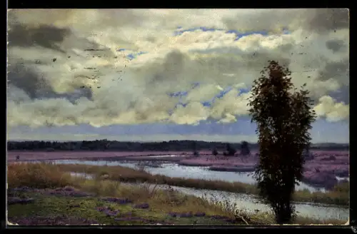 AK Photochromie NR: 2477, Heidelandschaft mit Moor