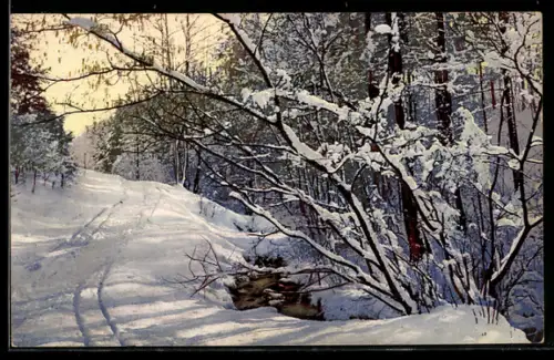 Künstler-AK Photochromie Nr. 4046: Wald im Winter