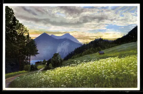 Künstler-AK Photochromie Nr. 5057: Bergwiese im Abendlicht