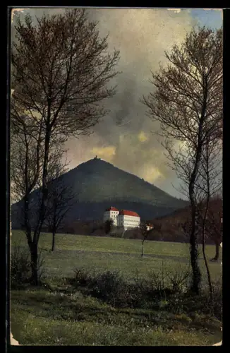 Künstler-AK Photochromie Nr. 2519: Schloss mit Berg im Hintergrund