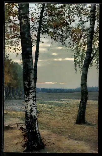 Künstler-AK Photochromie Nr. 1658: Birke am Heller