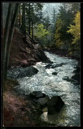 Künstler-AK Photochromie Nr. 1667: Dresdner Heide, Beim Wasserfall im Priessnitzgrund
