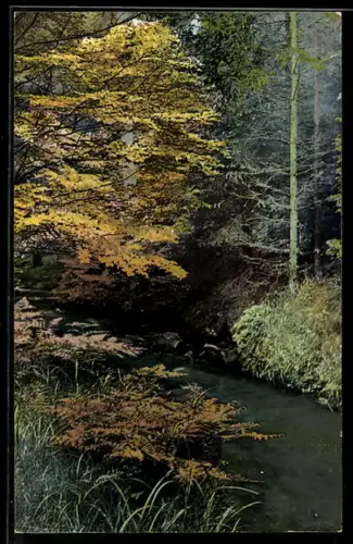 Künstler-AK Photochromie Nr. 1650: Dresdner Heide, Partie am Priessnitzgrund