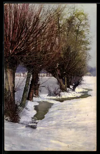 Künstler-AK Photochromie Nr. 4065: Bäume in einer verschneiten Landschaft