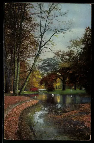 Künstler-AK Photochromie Nr. 2571: Dresden, Grosser Garten im Herbst