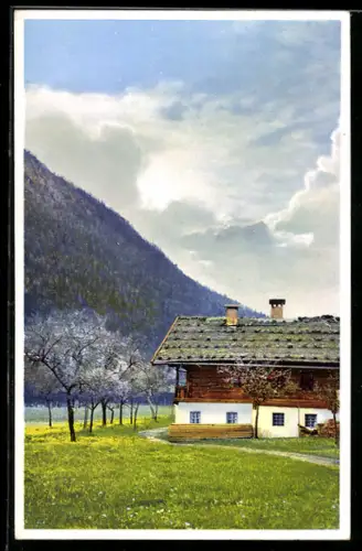 Künstler-AK Photochromie Nr. 5064: Haus vor einem Bergpanorama