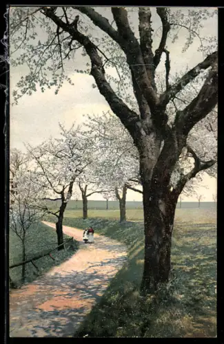 Künstler-AK Photochromie Nr. 1289: Baum an einem unbefestigten Weg