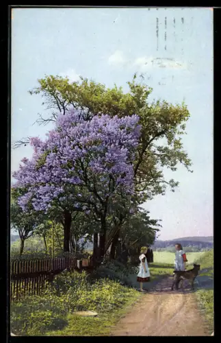 Künstler-AK Photochromie Nr. 4905: Ortspartie mit blühenden Bäumen