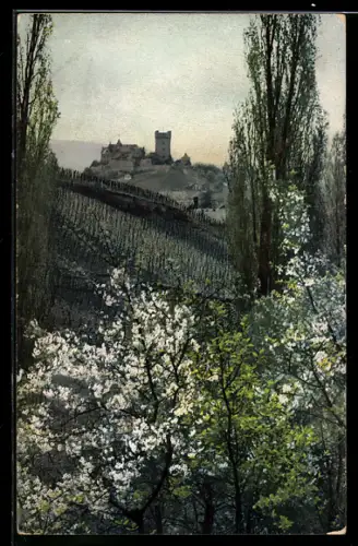 AK Photochromie NR 2423: blühende Bäume an einem Hügel