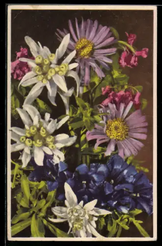 Künstler-AK Photochromie Nr. 2010: Stillleben mit blühenden Blumen