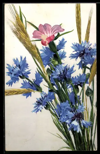 AK Photochromie NR 418: Getreide und Kornblumen