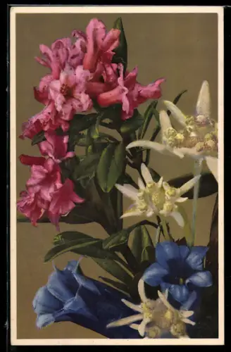 Künstler-AK Photochromie Nr. 1829: Stillleben mit verschiedenen Blumen