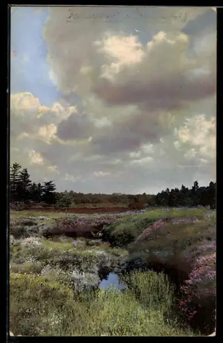 AK Photochromie NR.2014: Schöne Landschaft mit wolkenbehangenem Himmel