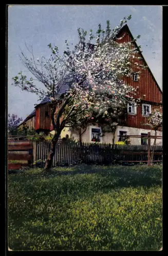 AK Photochromie NR: 4266, Serie 274, Haus mit Garten im Frühjahr