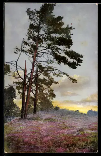 AK Photochromie NR.1320: Blumen auf einer Wiese