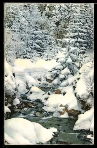 Künstler-AK Photochromie Nr. 1035: Verschneite Waldpartie mit Bach