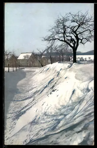 AK Photochromie NR 1237: Verschneiter Weg zum Ort