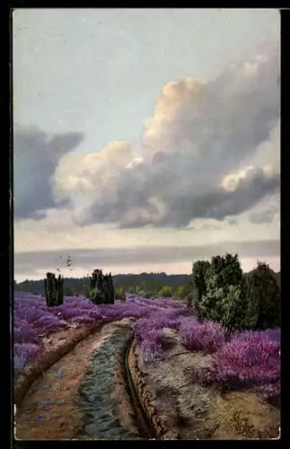 Künstler-AK Photochromie Nr. 4981: Hügelige Landschaft mit Alpenblumen
