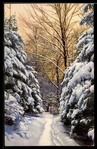 Künstler-AK Photochromie Nr. 4064: Winterwald, Schneeidyll