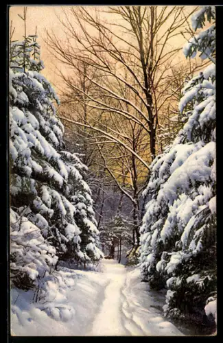 Künstler-AK Photochromie Nr. 4064: Winterwald, Schneeidyll