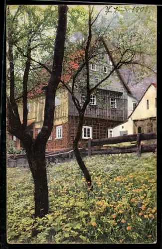 AK Photochromie NR 1184: blühender Garten