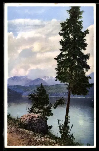 AK Photochromie NR 5268: Haus und Stein am See