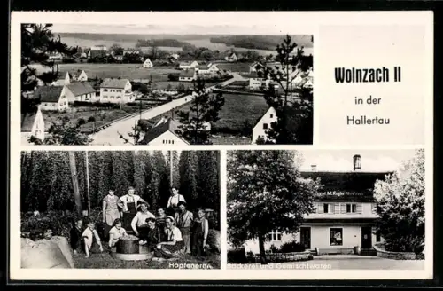 AK Wolnzach in der Hallertau, Gemischtwarengeschäft M. Kugler, Hopfenernte und Ortsansicht