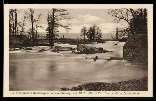 AK Quedlinburg, zerstörte Schafbrücke während der Hochwasserkatastrophe 1925