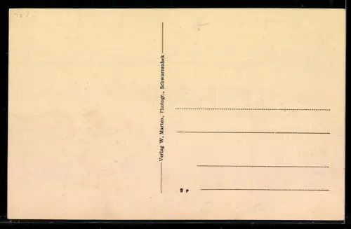 AK Sachsenwald, Waldgasthaus am Riesenbett, Inh. R. Berodt, Aussenansicht