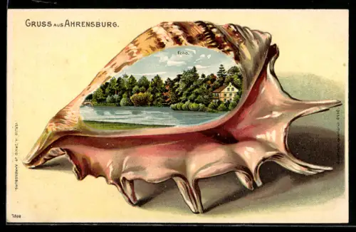 Passepartout-Lithographie Ahrensburg, Echo auf Muschel