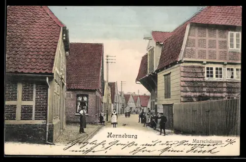 AK Horneburg, Partie am Marschdamm mit Wohnhäusern