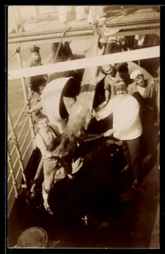 Foto-AK Fischer auf einem Schiff mit gefangenem Hai