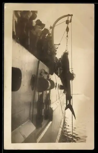 Foto-AK Suva, Fischer mit einem Haifisch am Haken