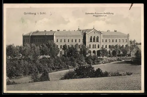 AK Goldberg i. Schl., Schwabe-Priesemuth-Stiftung, Progymnasium