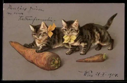 AK Zwei kleine Katzen mit Mohrrüben