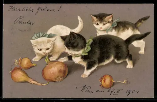 Lithographie drei Katzen spielen mit Zwiebeln