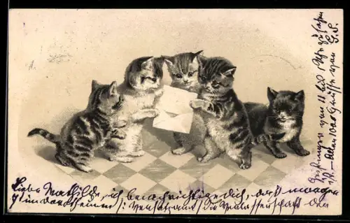 AK Kleine Katzen bekommen einen Brief