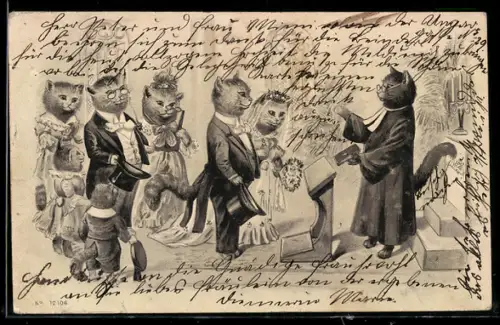 AK Pfarrer mit Katzen-Hochzeitspaar in der Kirche