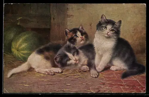 AK Drei flauschige Kätzchen