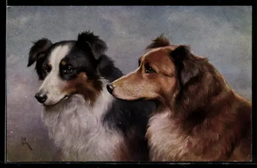 Künstler-AK Carl Reichert: Colleys, schottische Schäferhunde