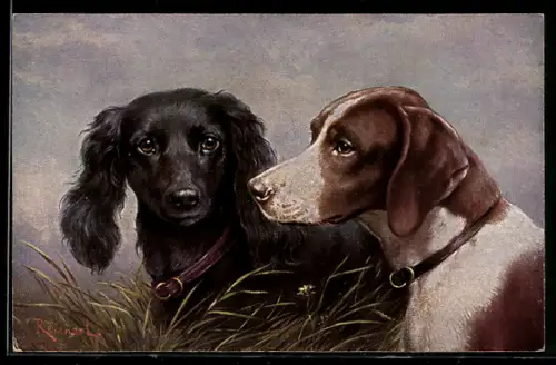 Künstler-AK C.Reichert: schwarzer und braun-weisser Jagdhund