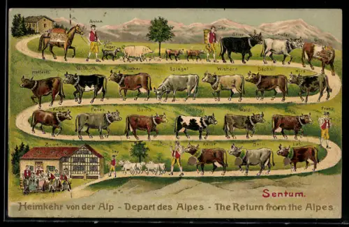 AK Heimkehr von der Alp, Sentum, Bauernhaus, Kühe mit Namen