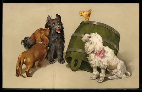 AK Dackel und zwei Hunde beobachten ein Küken